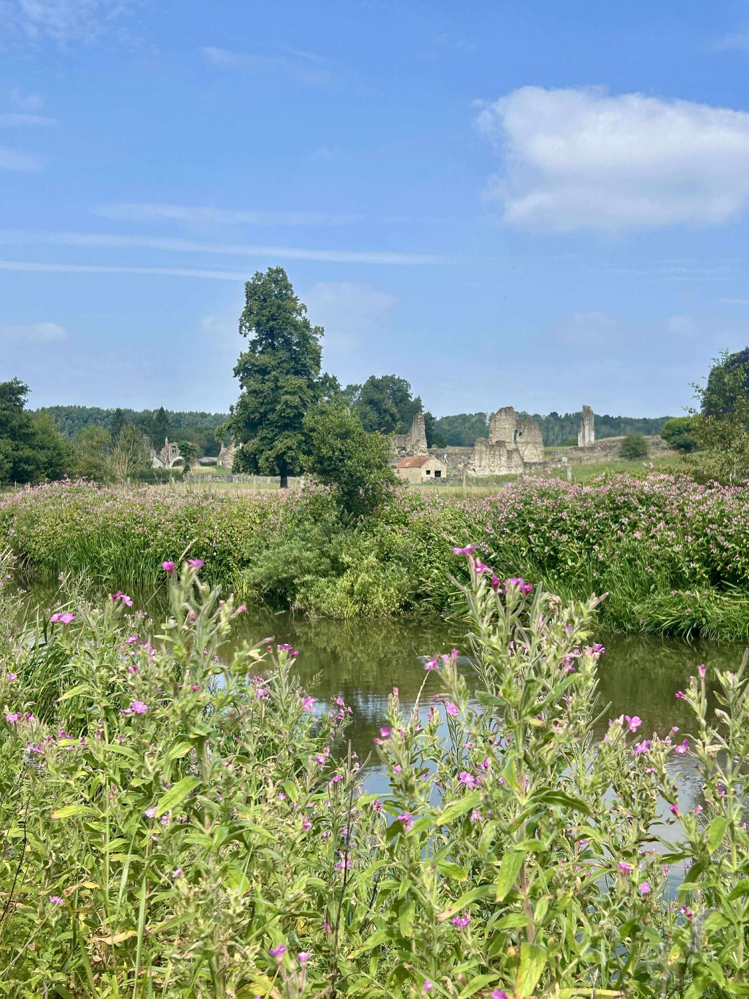 A little view of Kirkham Priory over looking the river Derwent. 